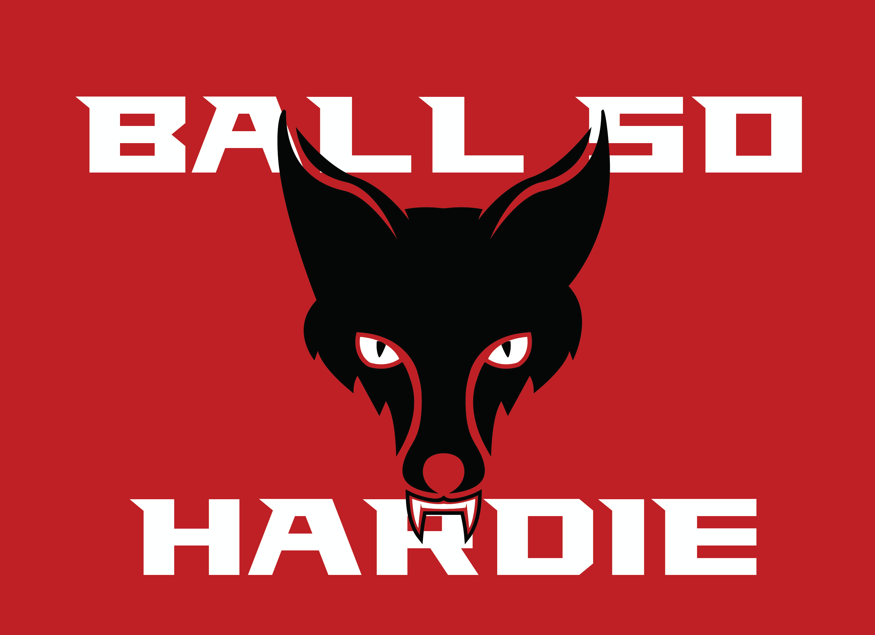 Image of ball so hardie logo